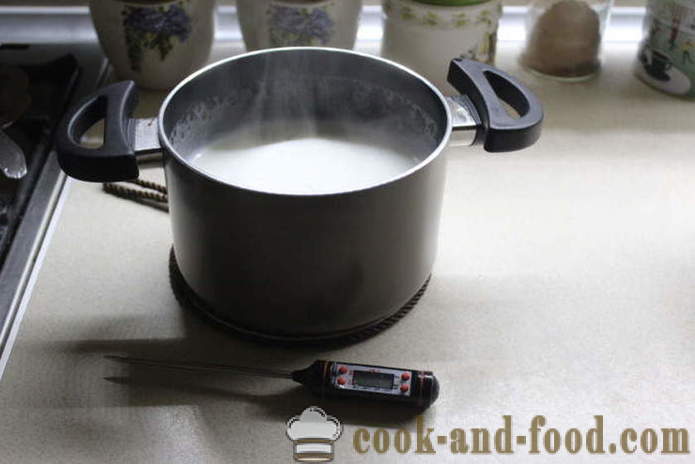 Domácí jogurt z mléka kvasit - jak dělat jogurt doma krok za krokem recept fotografiích