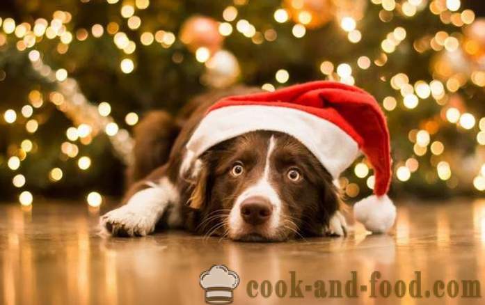 Jednoduché nápady novoroční výzdoba ročníku Zlatých Zemní psi na východním kalendáři, s fotografií