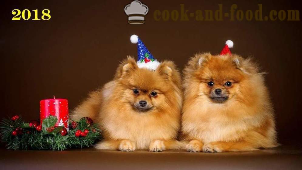 Zdarma Vánoční tapety 2018 psi, psi a štěňata - ke stažení tapety na ploše zdarma