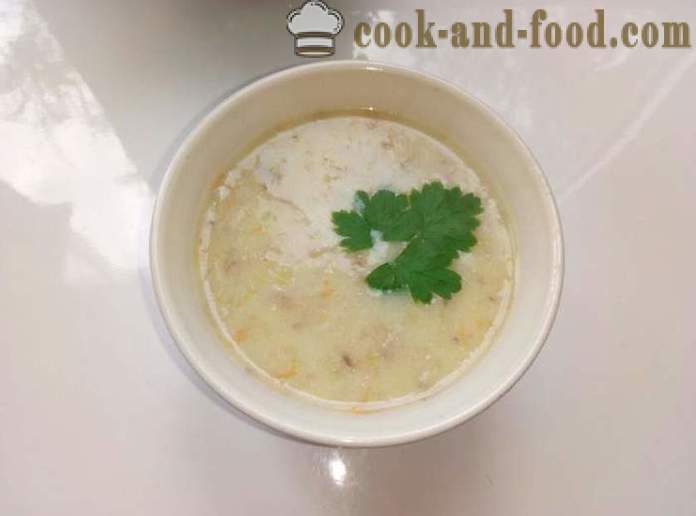 Houbová polévka v karpatsko - jak vařit hřib yushku houby krok za krokem recept fotografiích