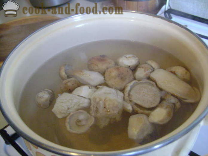 Vynikající houbová polévka ze zmrazených žampiony - jak vařit polévku ze zmrazených žampiony, krok za krokem recept fotografiích