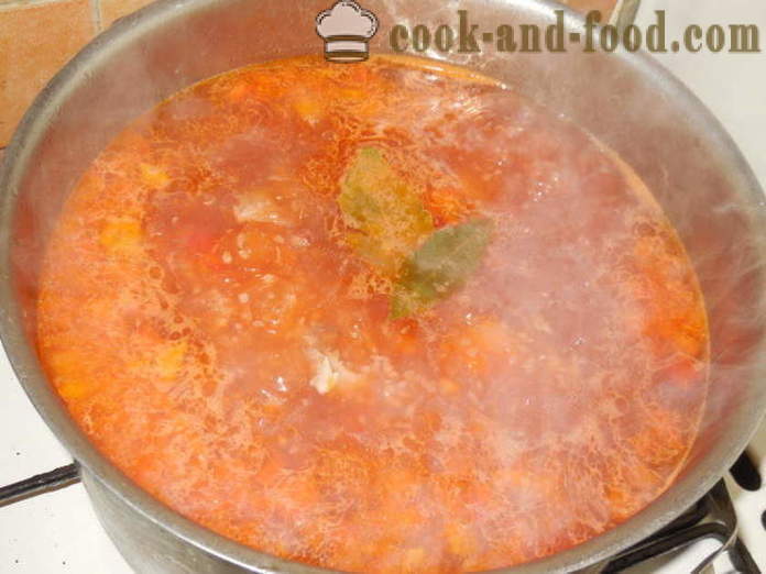 Dietní polévka vývar krůtí se zeleninou - jak vařit lahodný krůtí polévka, krok za krokem recept fotografiích