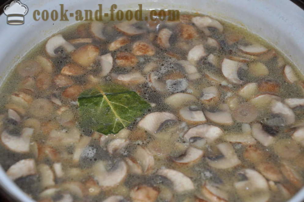 Vynikající houbová polévka s houbami - jak uvařit houbovou polévku s houbami, krok za krokem recept fotografiích