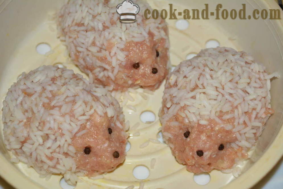 Ježci chutné mleté ​​maso s rýží za pár - jak vařit maso s rýží ježky v multivarka krok za krokem recept fotografiích