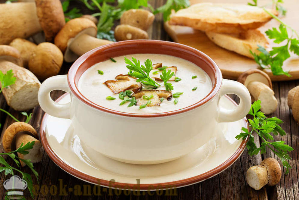 Bílá houbová polévka: dva recepty na chutné pokrmy