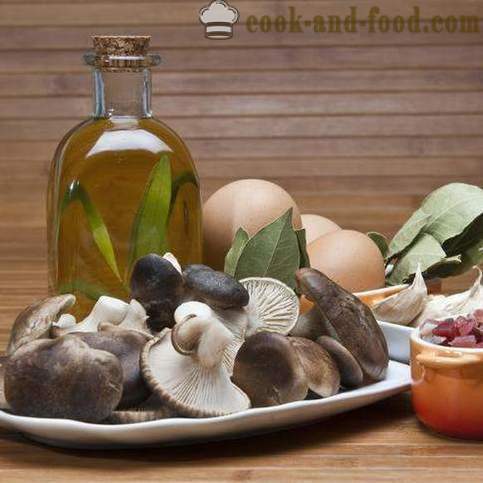 Pokrmy s houbami: tři jednoduchý recept - Video recepty doma