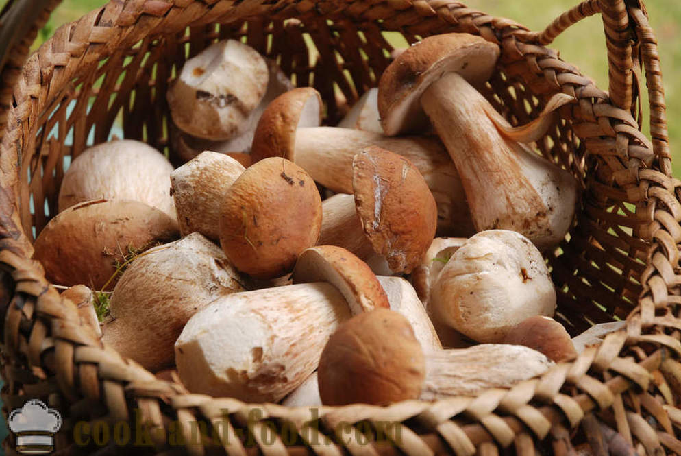 Sezóně houby: 5 receptů z časopisu Jamie Oliver - Video recepty doma